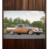 Металлическая табличка Studebaker Golden Hawk
